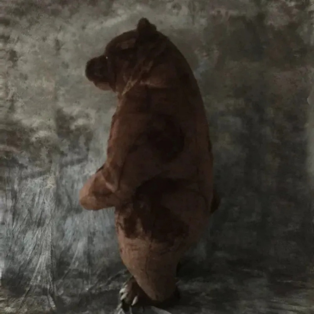 空気で膨らませるタイプの茶色いクマの着ぐるみ。大人用。ハロウ - Costumes のレビューと価格